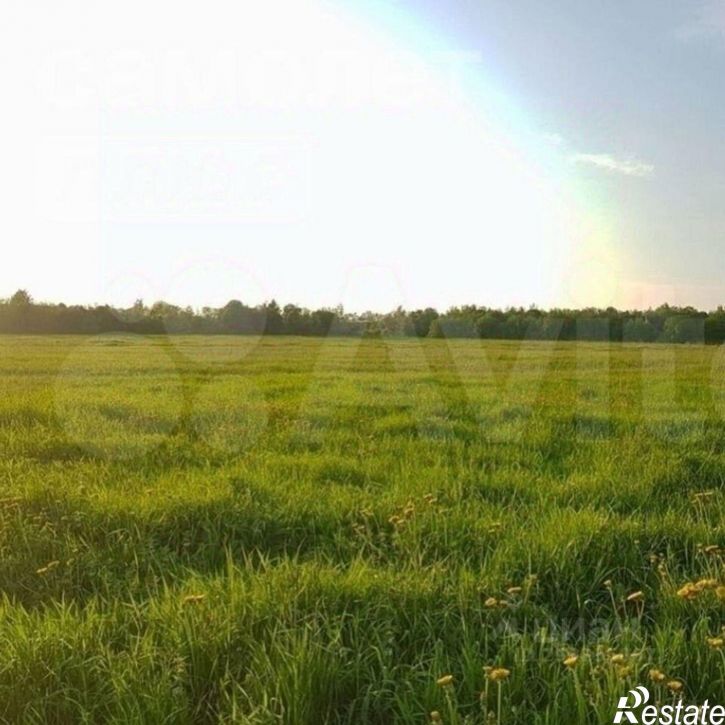 Земельный участок Курский район